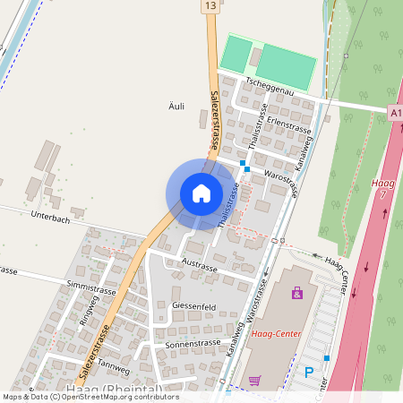 Thalisstrasse 8, 9469 Haag