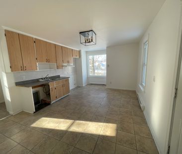 179 Kennedy Sud Sherbrooke - Photo 6