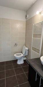 Location Appartement 1 pièce 21m² CENON 33150 - Photo 3