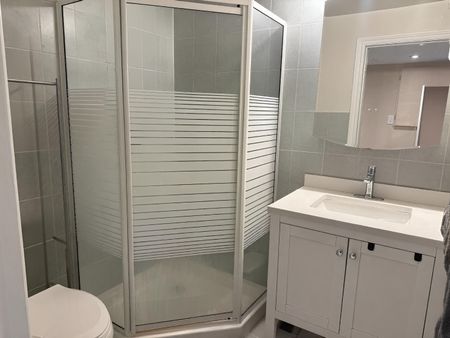 For Lease - 249 Lucas Street Unit# Lower, Richmond Hill, Ontario - Photo 3