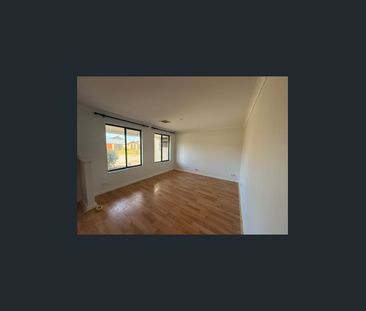 Freshly painted 4x2 with Gardens and lawn mowing included. - Photo 4