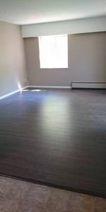 Spacious Renovated Suite in the Heart of Kitsilano March 1- 1 Bedrm - Photo 3