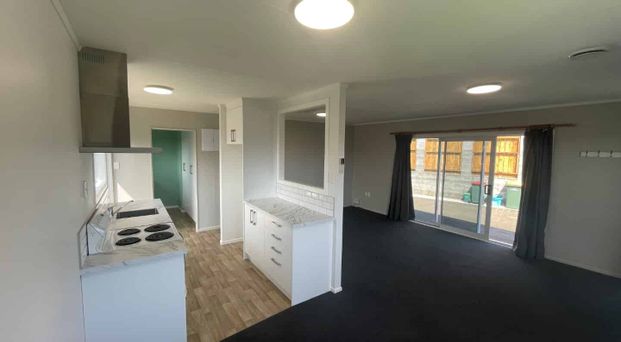 Renovated Three-Bedroom Home - Photo 1