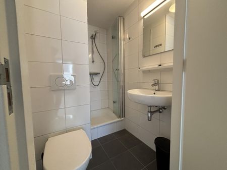 Te huur: Kamer Koningsplein in Maastricht - Photo 5