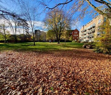 1 bedroom apartment to rent - Photo 6