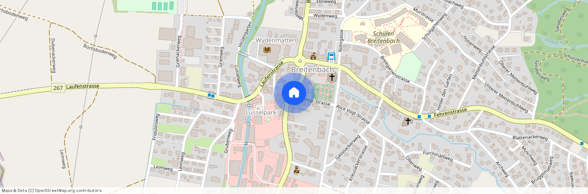 Alice Vogt-Strasse 2 4226 Breitenbach