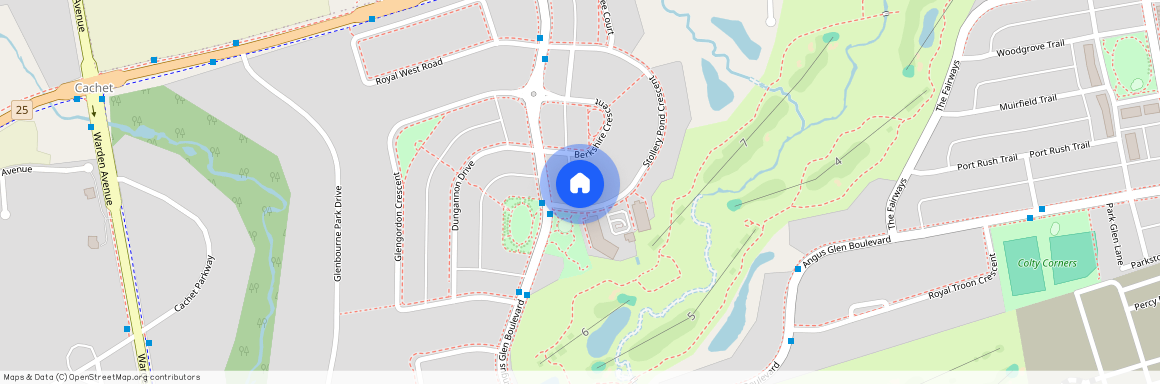 6 Stollery Pond Crescent, Markham