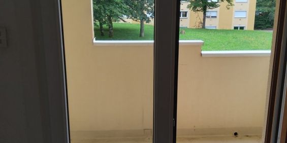 Appartement 1 pièce à Vandoeuvre-lès-Nancy - Photo 3