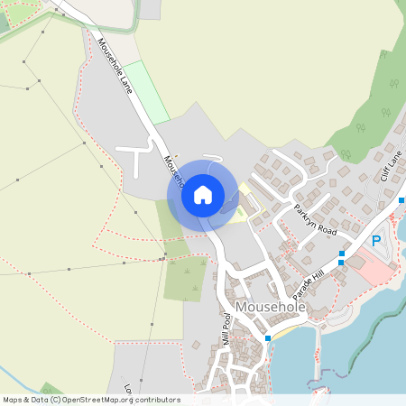 Paul Lane Bungalows, Mousehole