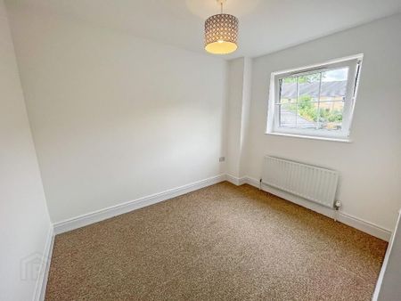 6 Ayrshire Lane, Lisburn, BT28 2UW - Photo 4