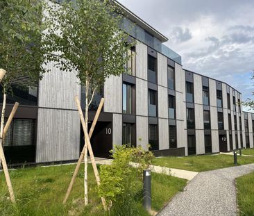 Bel appartement de 3,5 pièces au rez-de-chaussée - Photo 4