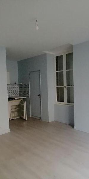 Location Appartement 1 pièce 21m² BLOIS 41000 - Photo 1