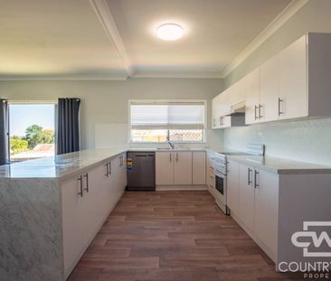 Freshly Updated 4-Bedroom Home with 1ac Paddock - Photo 5