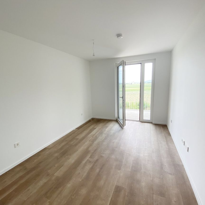 Familienfreundliches Wohnen im Grünen: Ihr neues Heim im Tullnerfeld - Foto 1