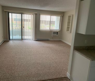 Heritage Apartments – 2 bedrooms, 2 bathrooms! - Photo 2