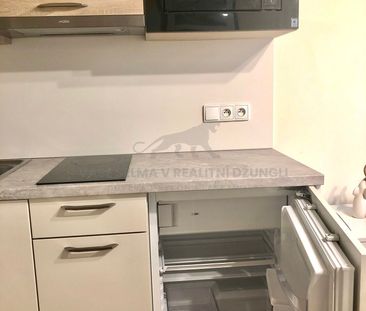 Pronájem bytu 1+kk a garsoniéry 22 m², Elišky Krásnohorské , Praha - Photo 1