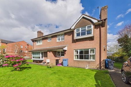 1 Sandringham Mews, Belfast, BT5 6JX - Photo 3