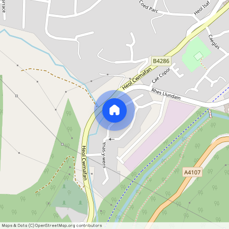 Ynys Y wern, SA12 9DJ, Cwmavon