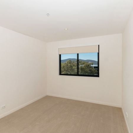 291/1 Mouat Street, Lyneham ACT 2602 - Apartment For Rent | Domain - Photo 4