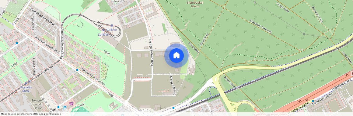 George-Sullivan-Ring 101, 68309, Mannheim