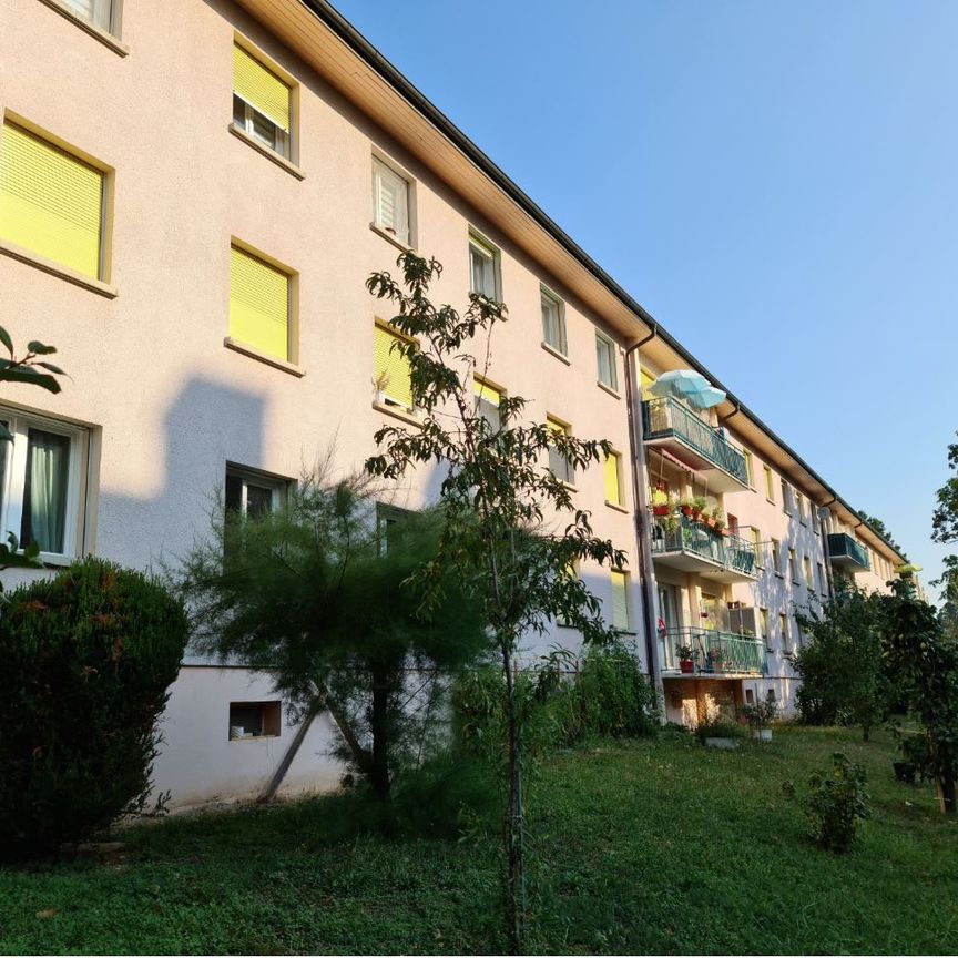 2.5 Zimmer, 40 m², 1. Stock - Photo 2