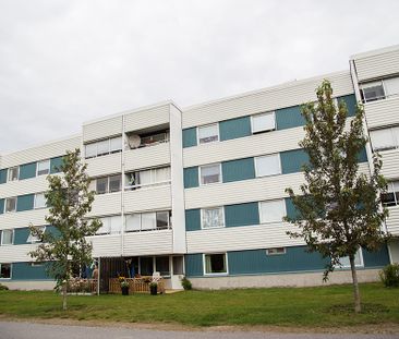 Hamnplan 18 A, 94161, Piteå - Foto 1