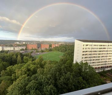 Doktor Forselius Gata, Göteborg - Foto 2
