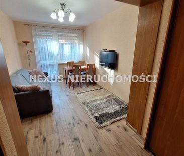 Dąbrowa Górnicza - Photo 3