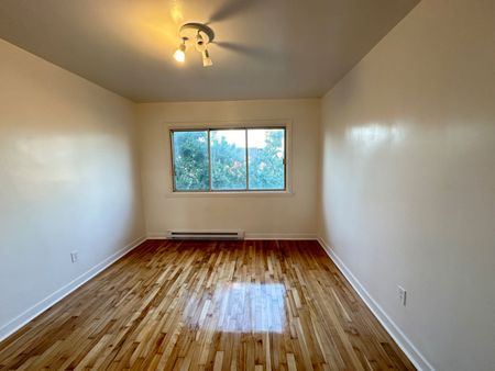 7244 Rue Chabot, Montréal (Villeray/Saint-Michel/Parc-Extension), H2E2K8 - Photo 3