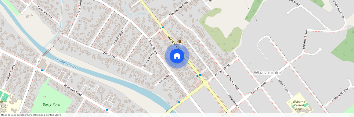 172D Ormond Road, Gisborne District, Mangapapa