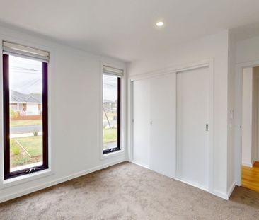 Modern Comfort Meets Inner-West Convenience - Photo 3