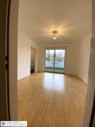 Linz/Urfahr/Jägerstraße: Traumlagewohnug mit Terrasse - Photo 1