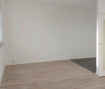 Hoch hinaus: 11. Stock mit Panorama in Halle-Neustadt - Photo 1