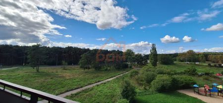 Duże 50 m2 Mieszkanie 2-pokojowe Umeblowane ! - Photo 3