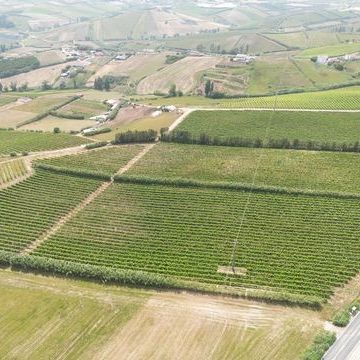 Mafra, Lisbon - Photo 1