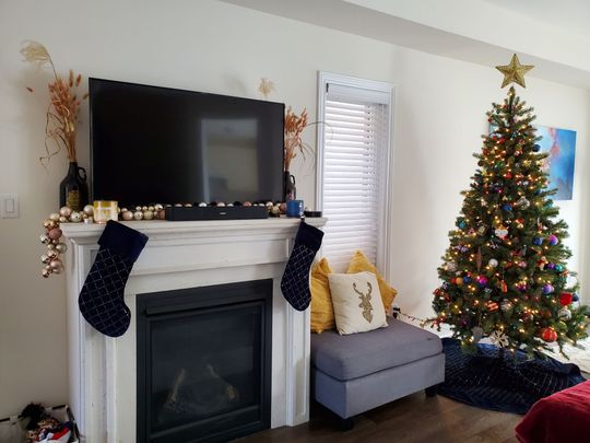 For Lease - 43 Furniss Street, Brock, Ontario - Photo 1