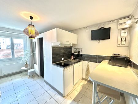 Location Appartement 1 pièce 15m² GRENOBLE 38000 - Photo 4