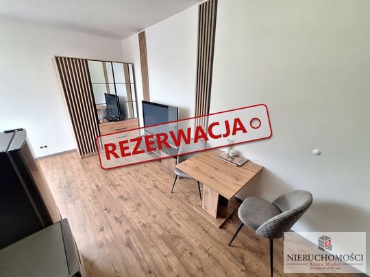 Do wynajęcia - mieszkanie po remoncie, 25 m2 - Фото 1