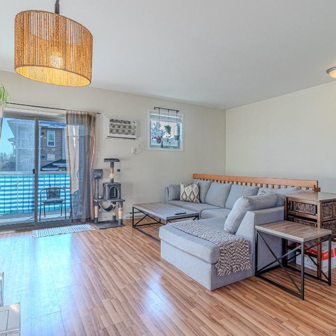 Vraiment belle appartement à louer - 56 rue de l'Emerald #2 - Photo 1