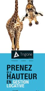 Location Appartement 2 pièces 46m² - Photo 4