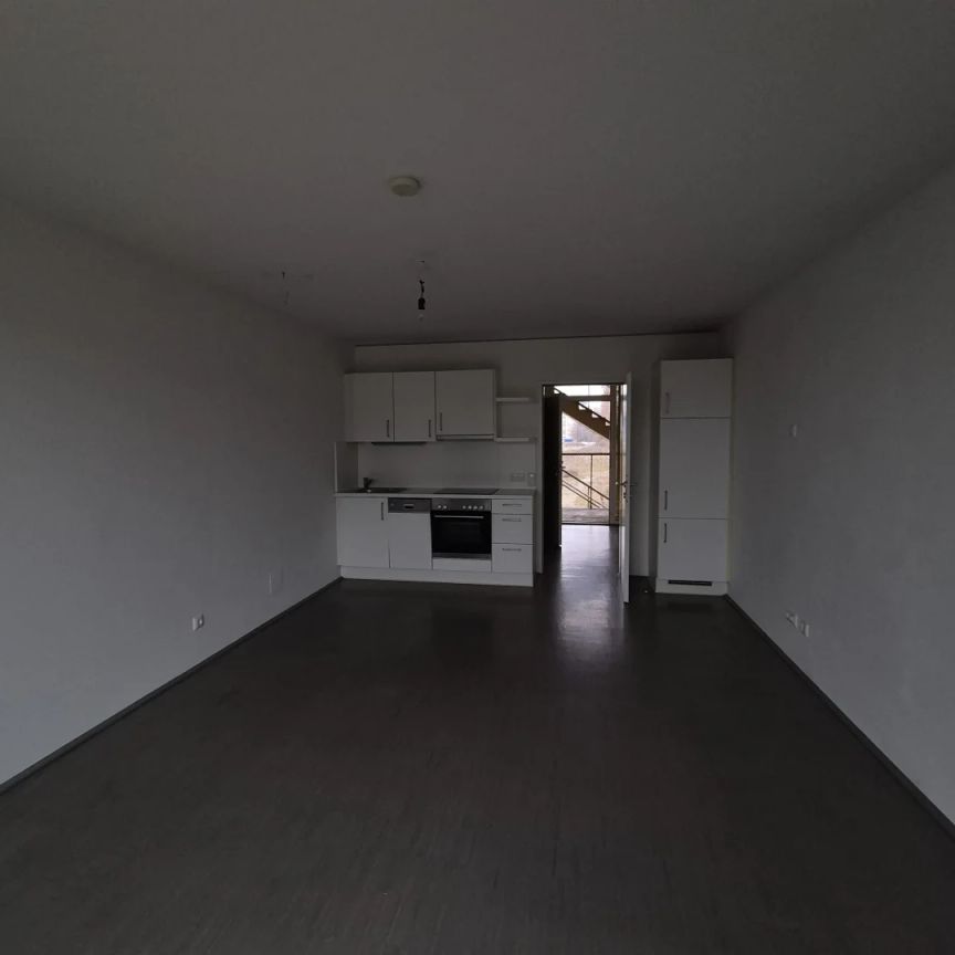 **GEFÖRDERT** Gemütliche 1-Zimmer-Wohnung mit Balkon - ab sofort verfügbar! - Foto 1