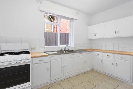 Three bedroom, ground floor apartment across from the Botanical Gardens! - Photo 4