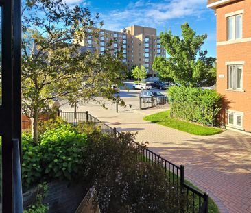 For Lease - 308 John Street Unit# 212, Markham, Ontario - Photo 4