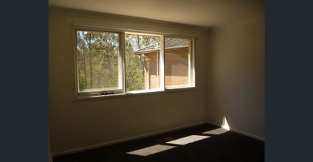 Newly Renovated 3 bedroom house-right next to Deakin Uni - Photo 3