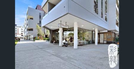 Park View 2 Bedroom + Large Study Room in heart of Rosebery - Photo 3