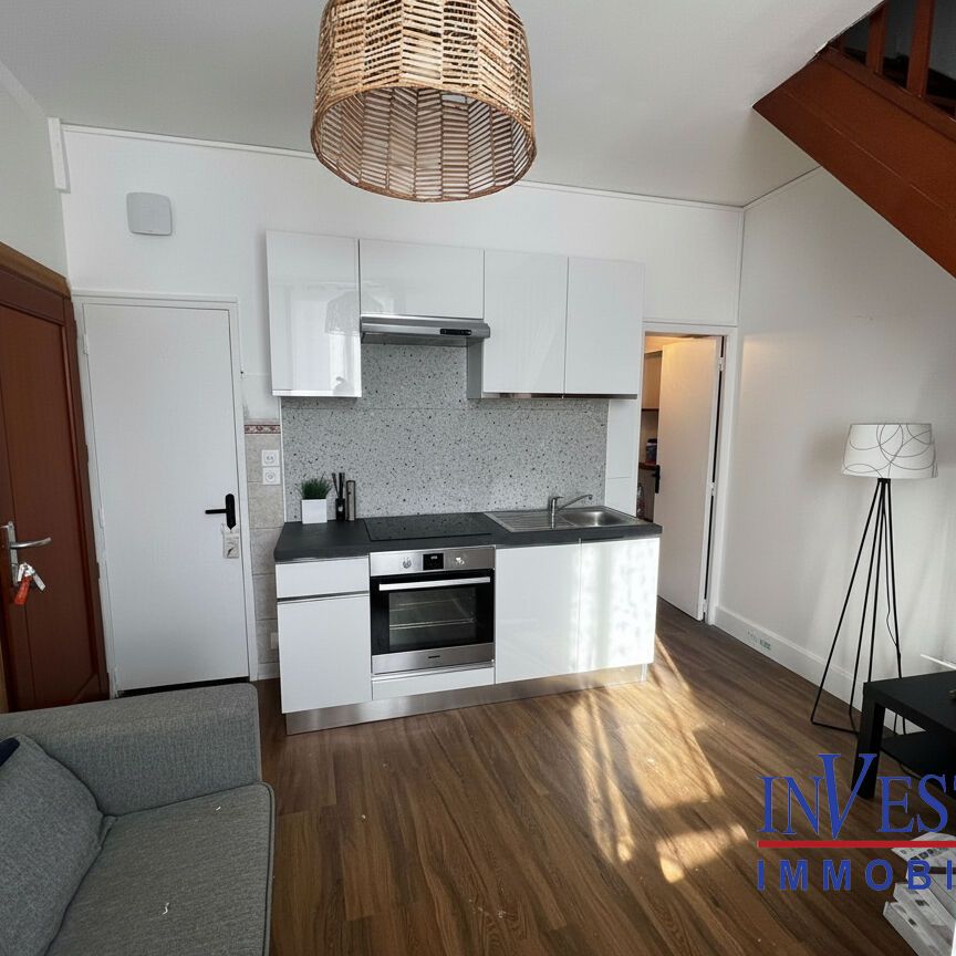 DUPLEX MEUBLÉ - Pierre benite/ Oullins 2 pièce(s) 30m2, - Photo 1