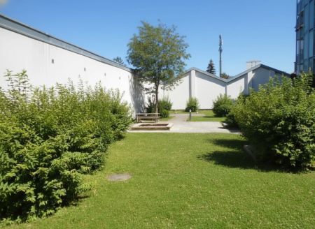 Garconniere sonnig,ruhig, AllgGarten nahe CITY PARK - Foto 4