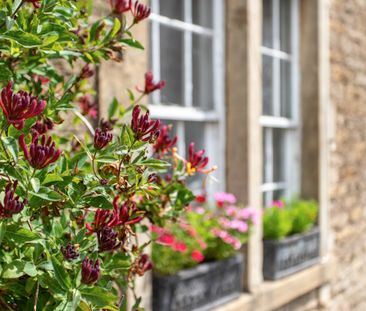 North Street - Photo 4