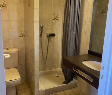 Location Appartement 1 pièce 26m² RODEZ 12000 - Photo 3