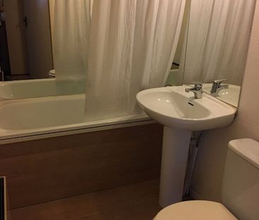 Appartement T1 Muret à louer - Photo 3